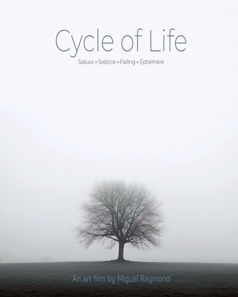 Cycle of Life - a Video Art by Raymond Miguel